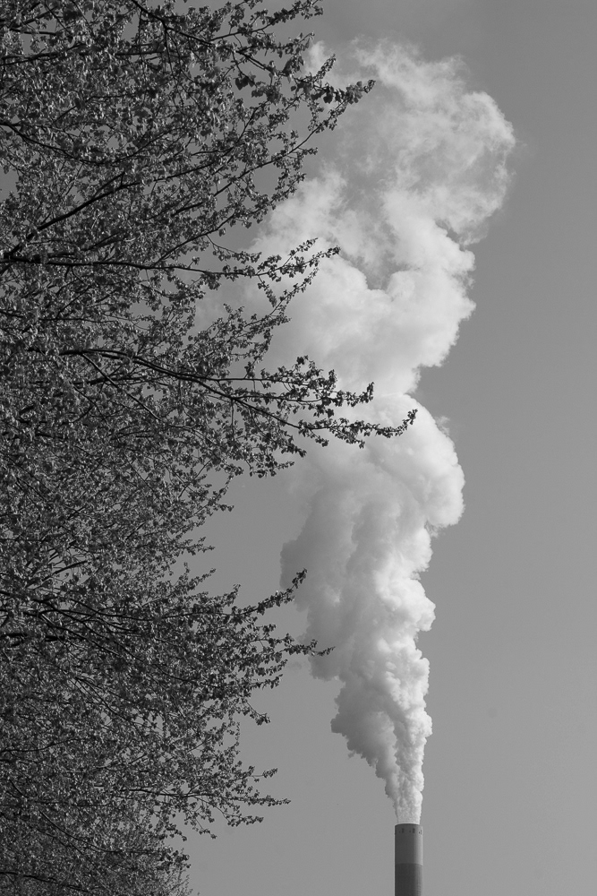 Picture of Amsterdam, the netherlands. 2013 © Pedro Rodrigues