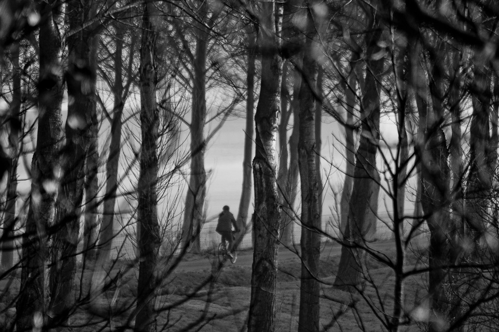 Picture of Delfgauw, THE Netherlands. 2012 © Pedro Rodrigues