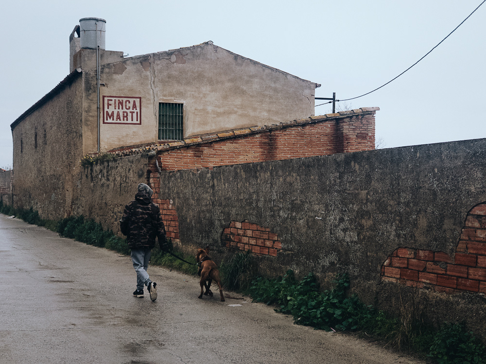 Picture of Premià de Mar, Spain. 2018 © Pedro Rodrigues